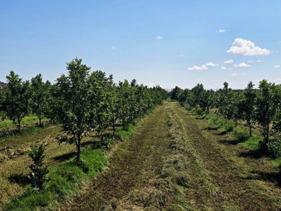 Commercial Property for Sale in Groblershoop Northern Cape